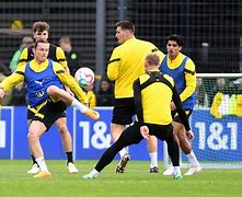 爱游戏官方登录入口-蒂灵根奋力拼搏，努力在德国顶级联赛中取得突破的简单介绍